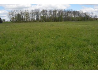 Property photo 8 - Real Estate & Personal Property Auction, Country Home, Building Sites, Pond